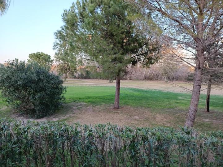 Met&Golf Oliva Nova Beach Jardin Exteriér fotografie